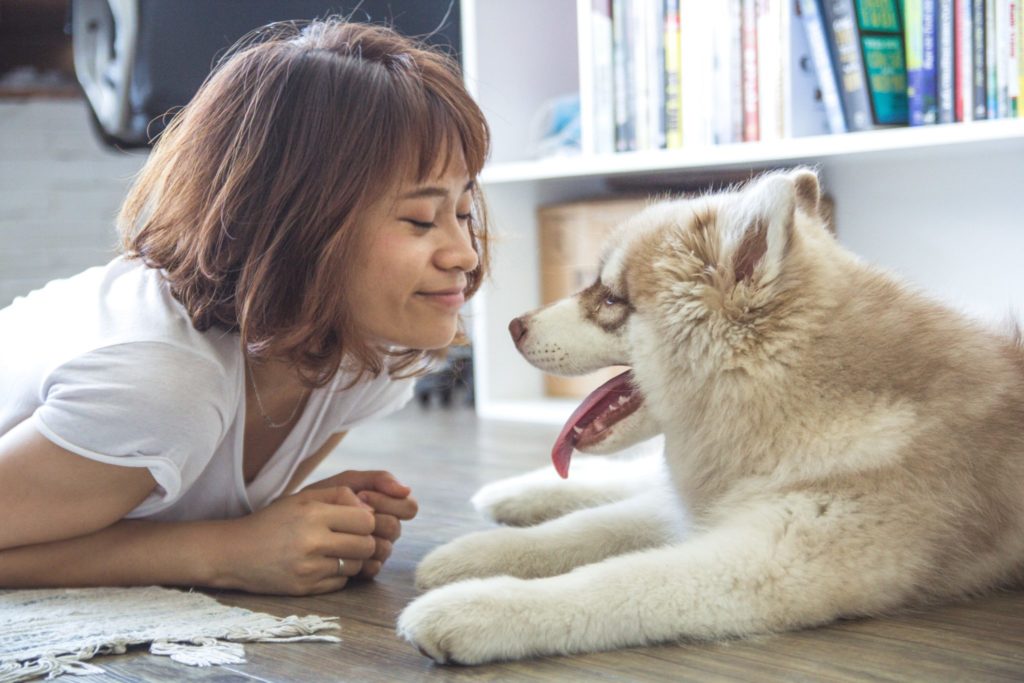 buildupyouth love your pets in depression